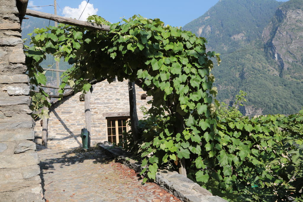 Verdabbio Casa Flora 아파트 객실 사진
